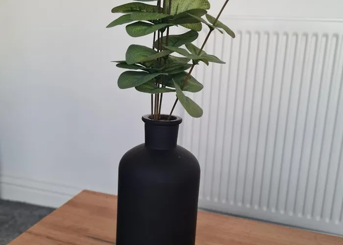 Yorkshire Rose - 2 Bed Sleeps 5 * Scarborough